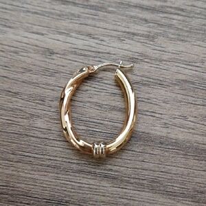 Elegant Gold Hoop Earrings